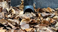 The Easy Way To Get Fall Leaf Debris Out Of Your Sump Pump (No Plumber Needed)