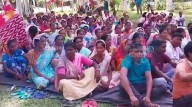 Upper Assam tea garden workers to rally for ST status, land pattas on Oct 8 & 13
