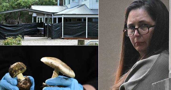 Mushroom killer's mercy plea as life behind bars looms