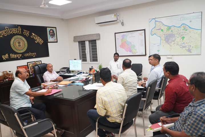 Jamshedpur administration orders raising power lines to protect wlephants, wildlife