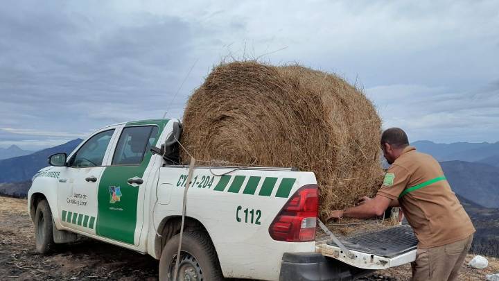 Se intensifica el reparto de alimento entre la fauna silvestre en zonas afectadas por los incendios forestales