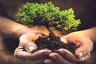 Plantation drive held at Khimber