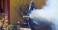 Utiliza Salud Colima larvicida e insecticida más amigable contra el dengue