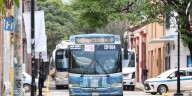 ¿Cuál es el costo real del BinniBbus? ¡te sorprenderá!