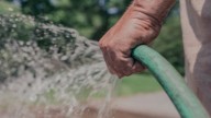 ¿Tu vecino desperdicia agua? Así lo puedes reportar