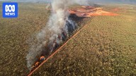 Rewards offered as suspicious bushfires burn through WA's Kimberley