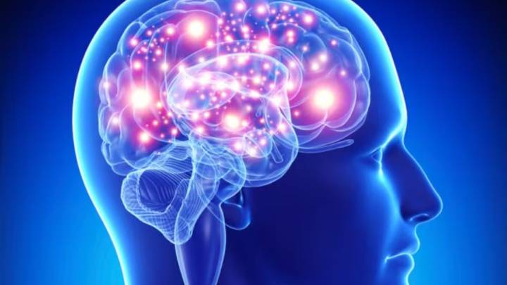 Una dieta mediterránea verde podría frenar el envejecimiento cerebral