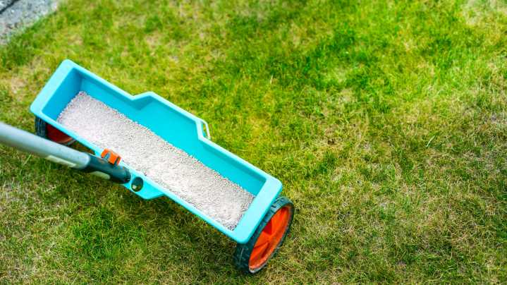 You Might Be Fertilizing Your Lawn Too Much: How To Save Your Grass