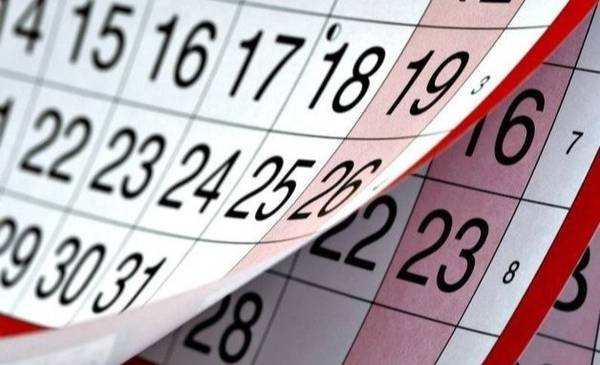 Actividades: festival de juegos, música y libros