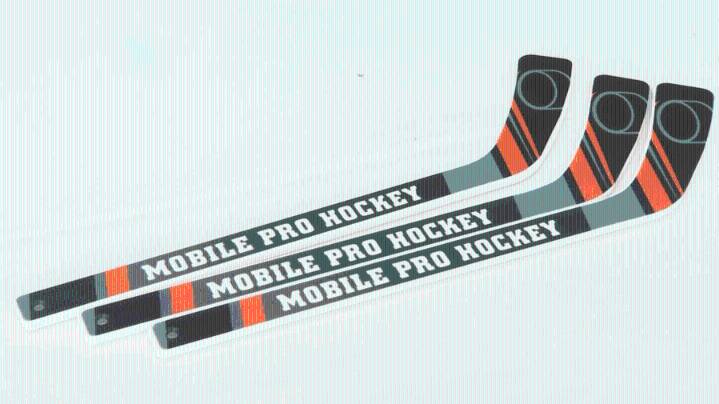 Zawyer Sports confident hockey will thrive in Mobile