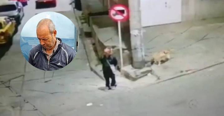 Indignación en Bogotá: denuncian la liberación de un presunto violador de animales Un hombre acusado de robar y abusar sexualmente de perros en Bogotá fue dejado en libertad a menos de 48 horas de su 
