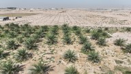 Why the planet is drying out much faster than before, according to a new study