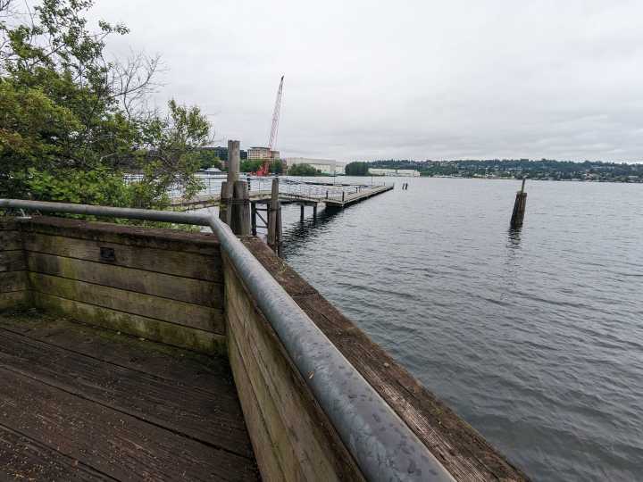 Man drowns at Gene Coulon Beach Park after allegedly evading officers
