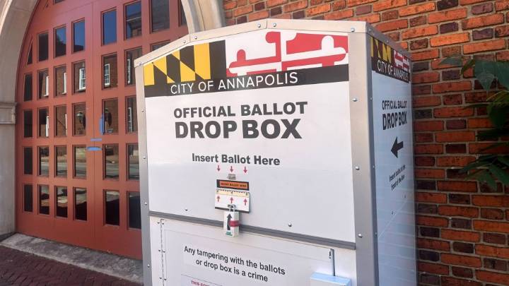 Guide to voting in the September Annapolis primary election