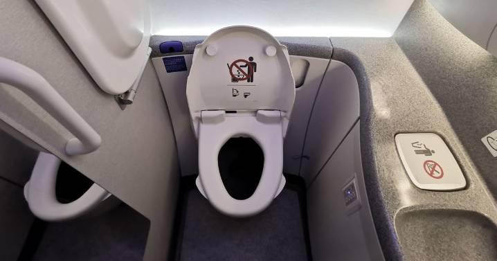 American Airlines pilot shares 'dangerous' time to use toilet during flight