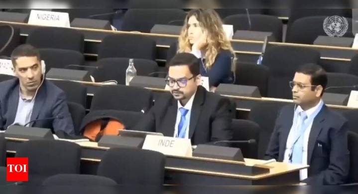 'Nation that bombs own people': India tears into Pakistan at UNHRC; calls for objectivity