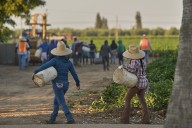 1.2M immigrants are gone from the US labor force under Trump, preliminary data shows