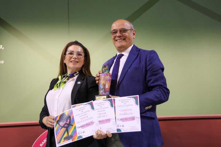 Toledo acoge el IX Campeonato Regional de Coctelería de Castilla