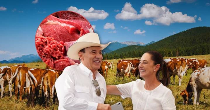 Claudia Sheinbaum anuncia inversión de 700 millones de pesos para producción de carne en Sonora y dos estados más
