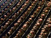 Key takeaways from Trump’s speech to US military generals