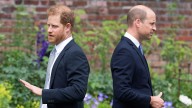 Prince Harry and Prince William have always been ‘night and day’, reveal royal photographers