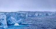 El iceberg más grande del mundo se parte en pedazos: científicos advierten consecuencias