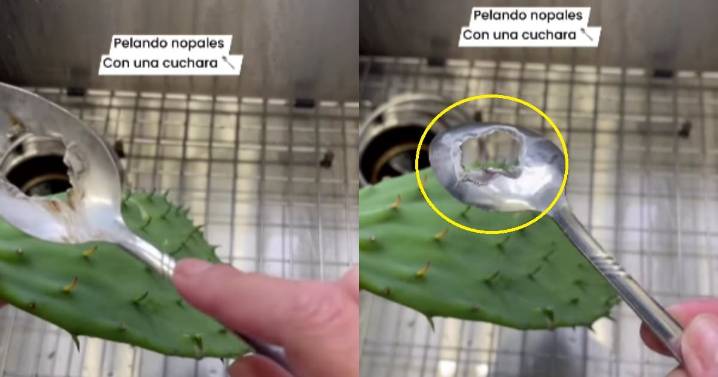 Mujer comparte su creativa técnica para pelar nopales y se vuelve viral