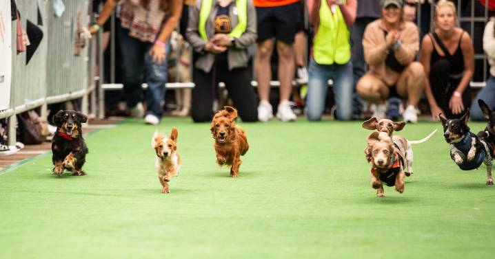 31 Things to Do in the DC Area This Week and Weekend