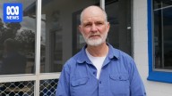 Fishers call for SA gulfs to be shut to protect 'near-non-existent' stocks amid toxic algal bloom