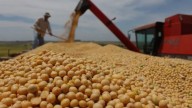 Se desplomó el ingreso de dólares del campo