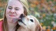 Warning for pet lovers as parasite linked to fatigue, gum disease and chronic health issues found