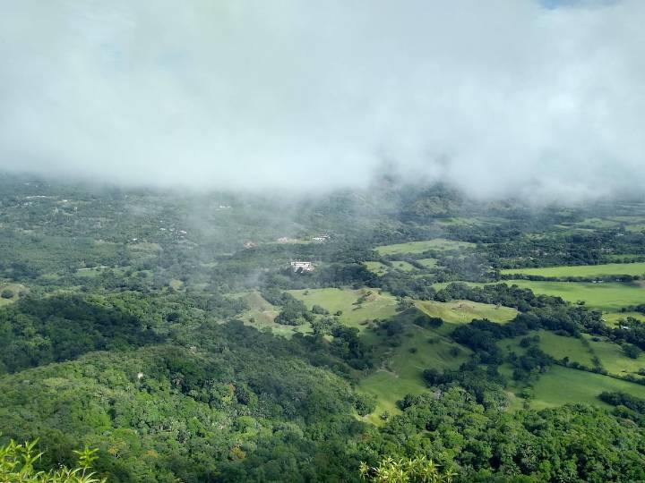 Mutis, biodiversidad y territorio