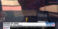 Heads Up, Herd
