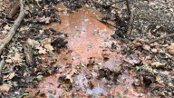 Toxic orange goo seeps from abandoned Missouri landfill. No one is fixing it