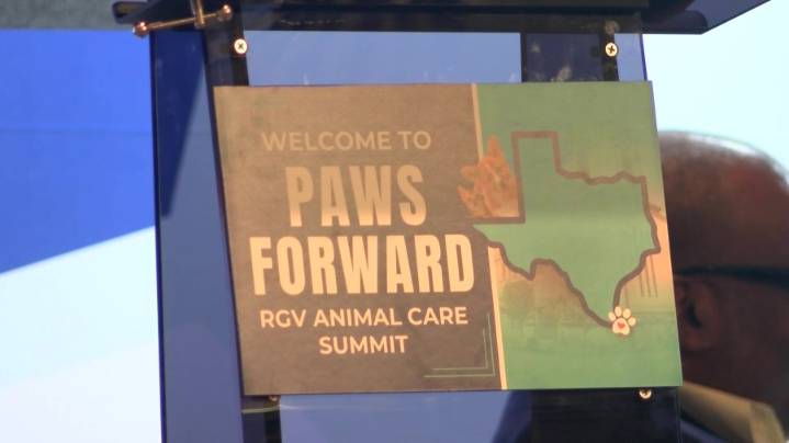 Paws Forward RGV Summit: Innovating for animal welfare