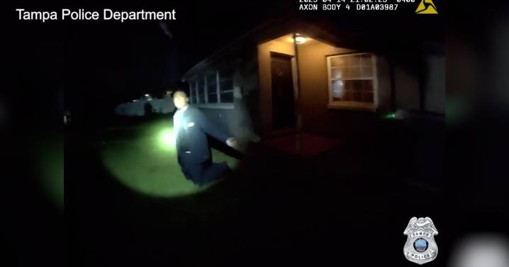 VIDEO: Tampa police officer suspended for kicking suspect during arrest