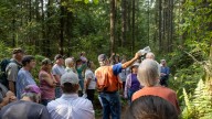 County pauses 'thinning' in Banner Forest, more discussion to come