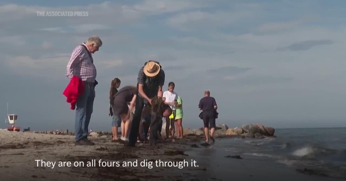Finding happiness in amber: all along the German Baltic Coast, people go hunting for precious pieces