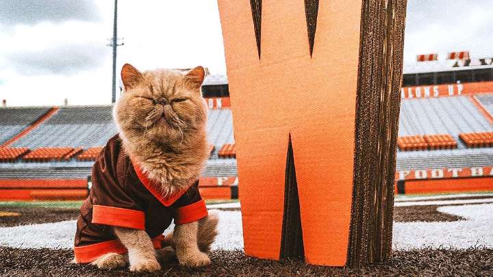Bowling Green's unofficial mascot