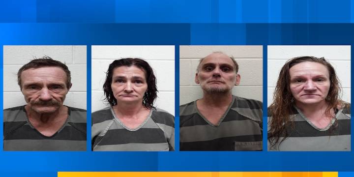 71-year-old Monroe County woman attacked by numerous dogs, 4 charged, sheriff’s office says