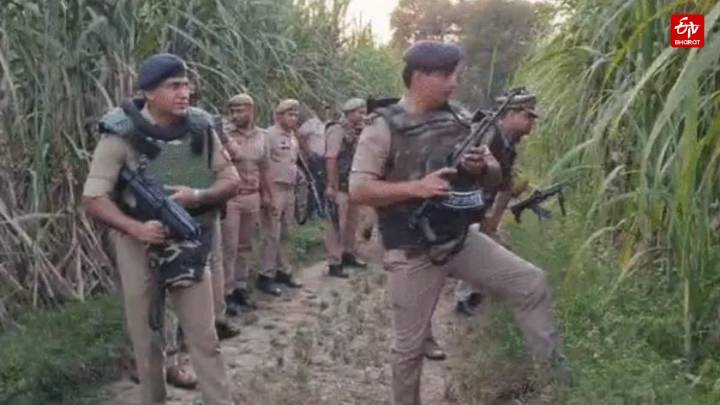 Wanted In Dozens Of Cases, Criminal Naeem Qureshi Killed In Police Encounter In UP's Muzaffarnagar