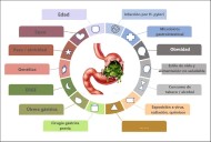 Cáncer gástrico: síntomas y dieta recomendada