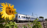 Emergency responders will be visible along RTD line in Arvada Wednesday during drill
