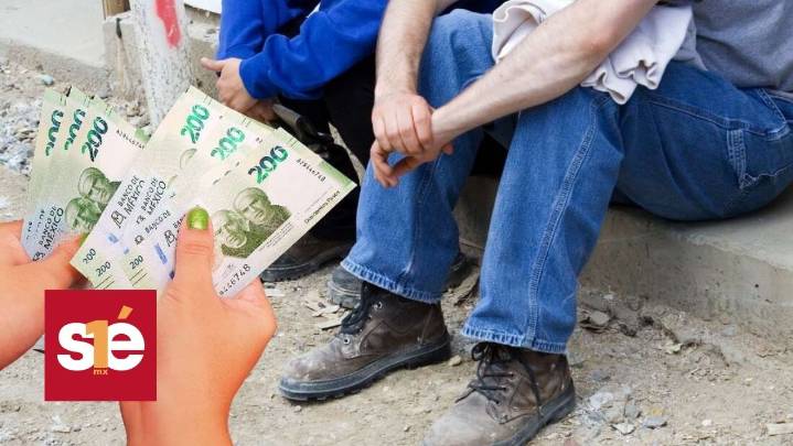 Seguro de Desempleo: abre convocatoria con apoyo de más de 3,400 pesos