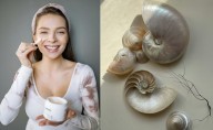 Cuáles son los beneficios de la crema de concha nácar para la piel