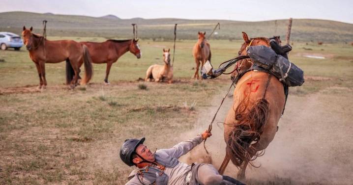 Ride to Survive: Livingston man saddles second place in world’s longest horse race