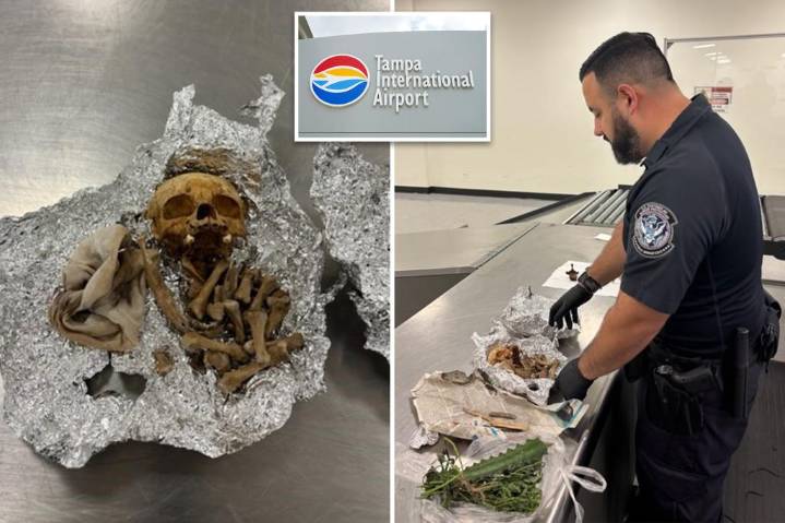 Suspected human remains for 'rituals' found in traveler's luggage at Florida airport
