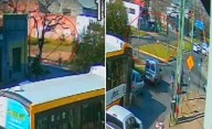 Video impactante | El accidente del caballo en La Plata: murió el animal y el jinete pelea por su vida