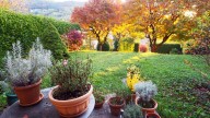 14 Herbs That Are Perfect For Planting In The Fall For A Luscious Kitchen Garden