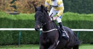 Veteran having 86th race can land the odds – Jason Heavey's Wednesday racing tips